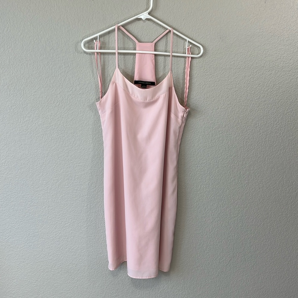 Cynthia Steffe Pink Slip Dress Size 2